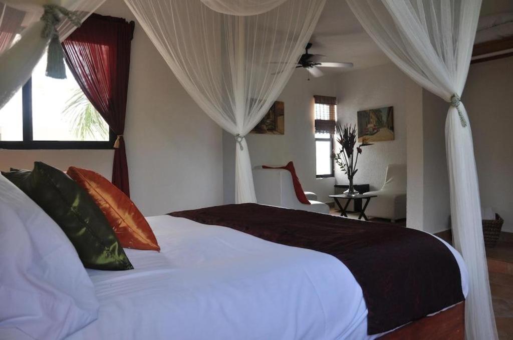 Flamingo Hotel Cozumel Dış mekan fotoğraf