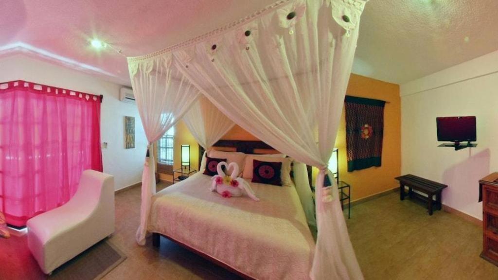 Flamingo Hotel Cozumel Dış mekan fotoğraf
